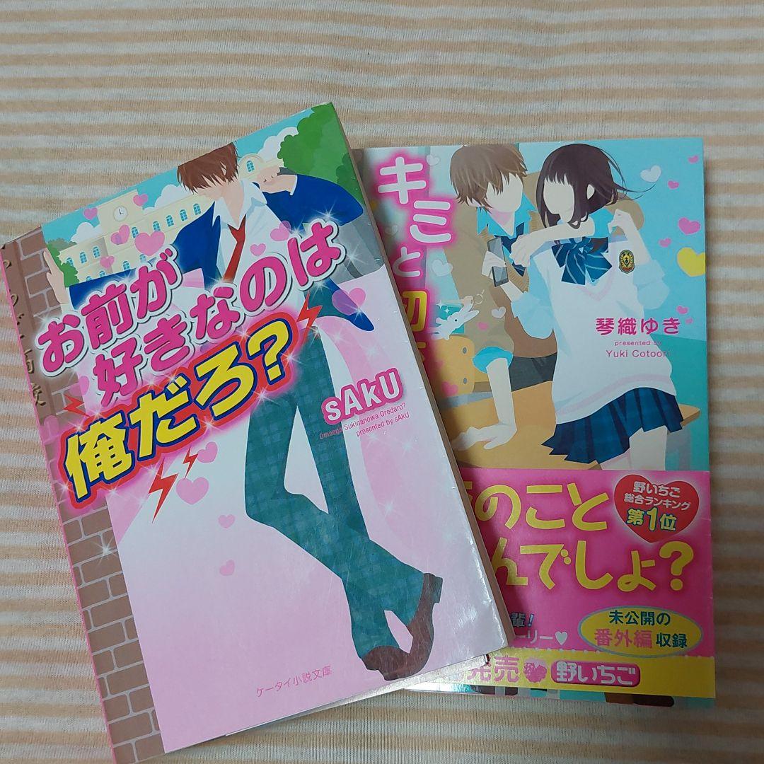 ケータイ小説