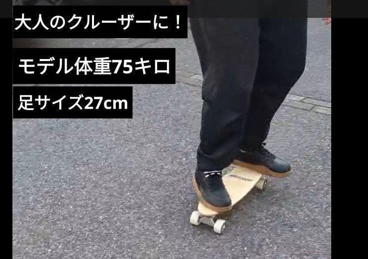 22インチ タイプクルーザー 幼児 スケートボード スケボー ウッドデッキ