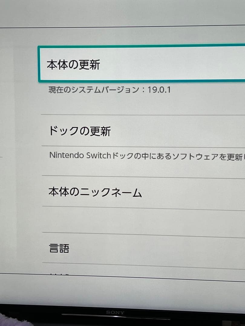 【ゆたさん専用⠀】 Switch 本体 スマッシュブラザーズセット