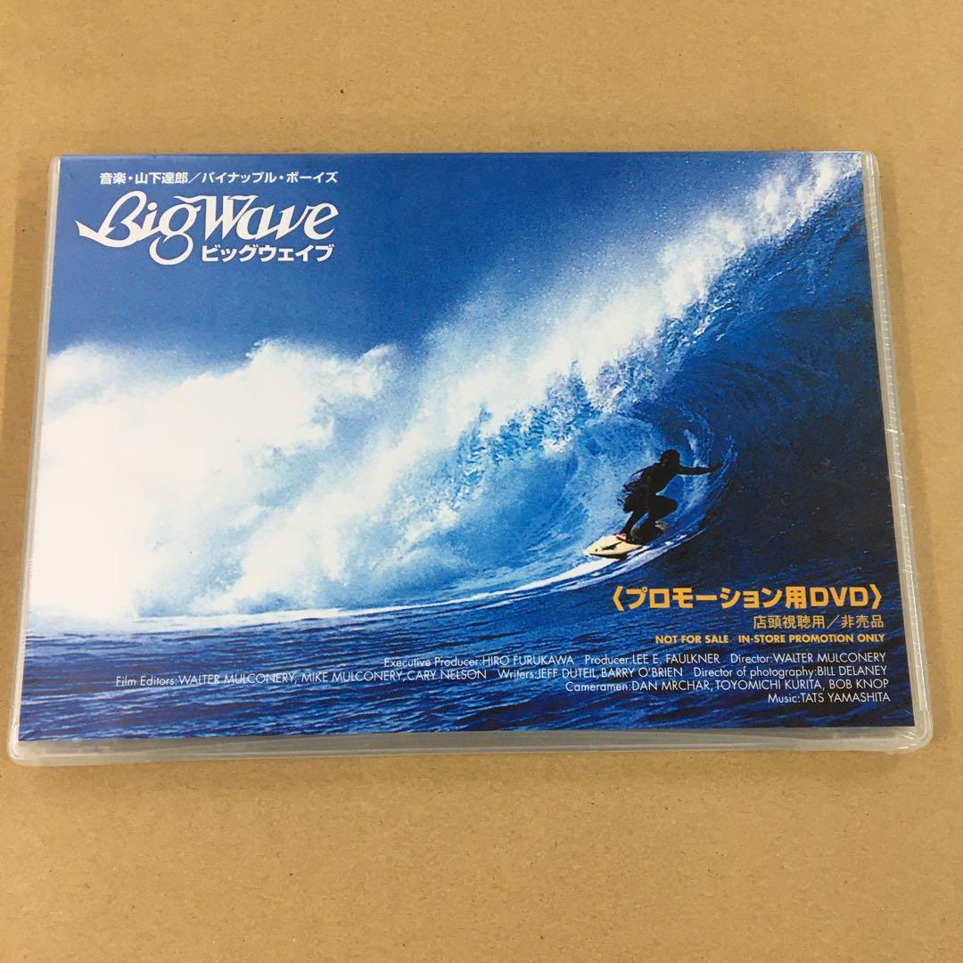 ビッグウェイブ　プロモーション用DVD　音楽・山下達郎