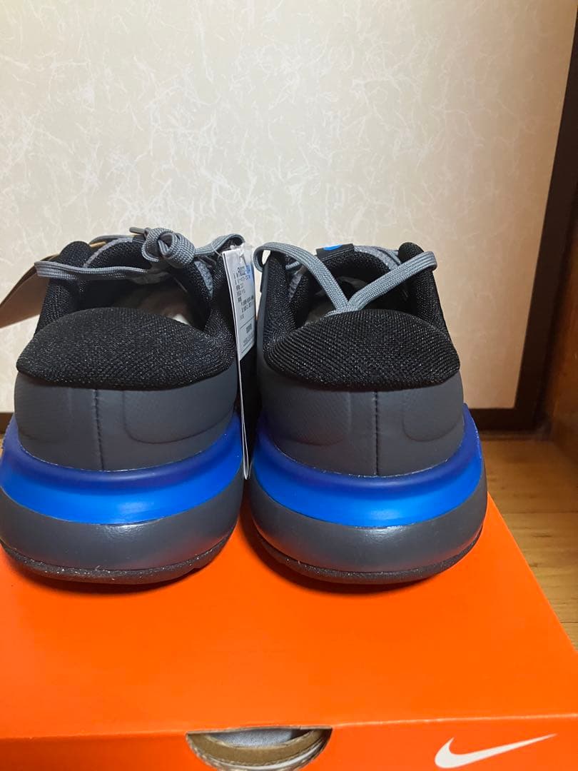 NIKE ナイキ　フリーゴルフ　28.5cm ワイド　ブラック　ブルー
