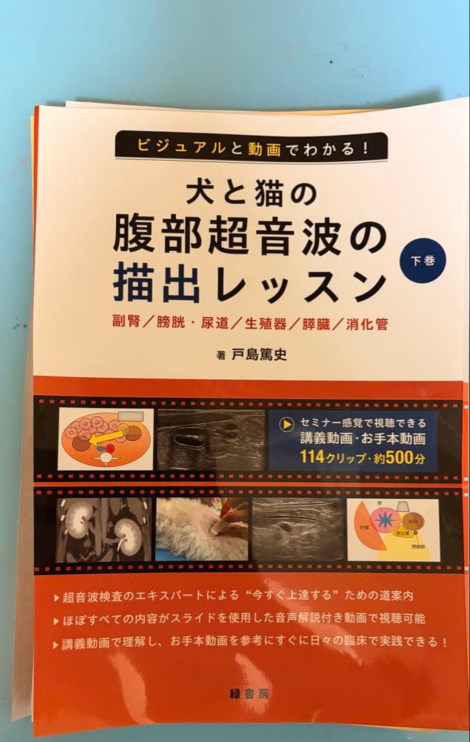 犬と猫の腹部超音波の描出レッスン 戸島下巻セミナー感覚で視聴できる講義動画付き