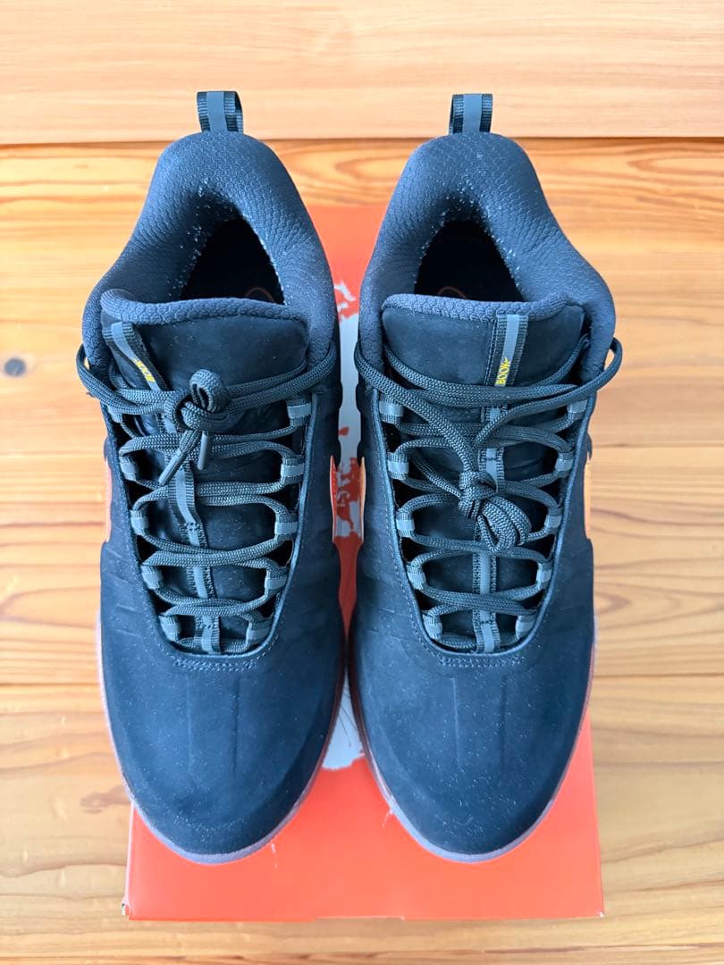 【デビンブッカー最新作】　NIKE Book2 \"Rising\" 28.5cm