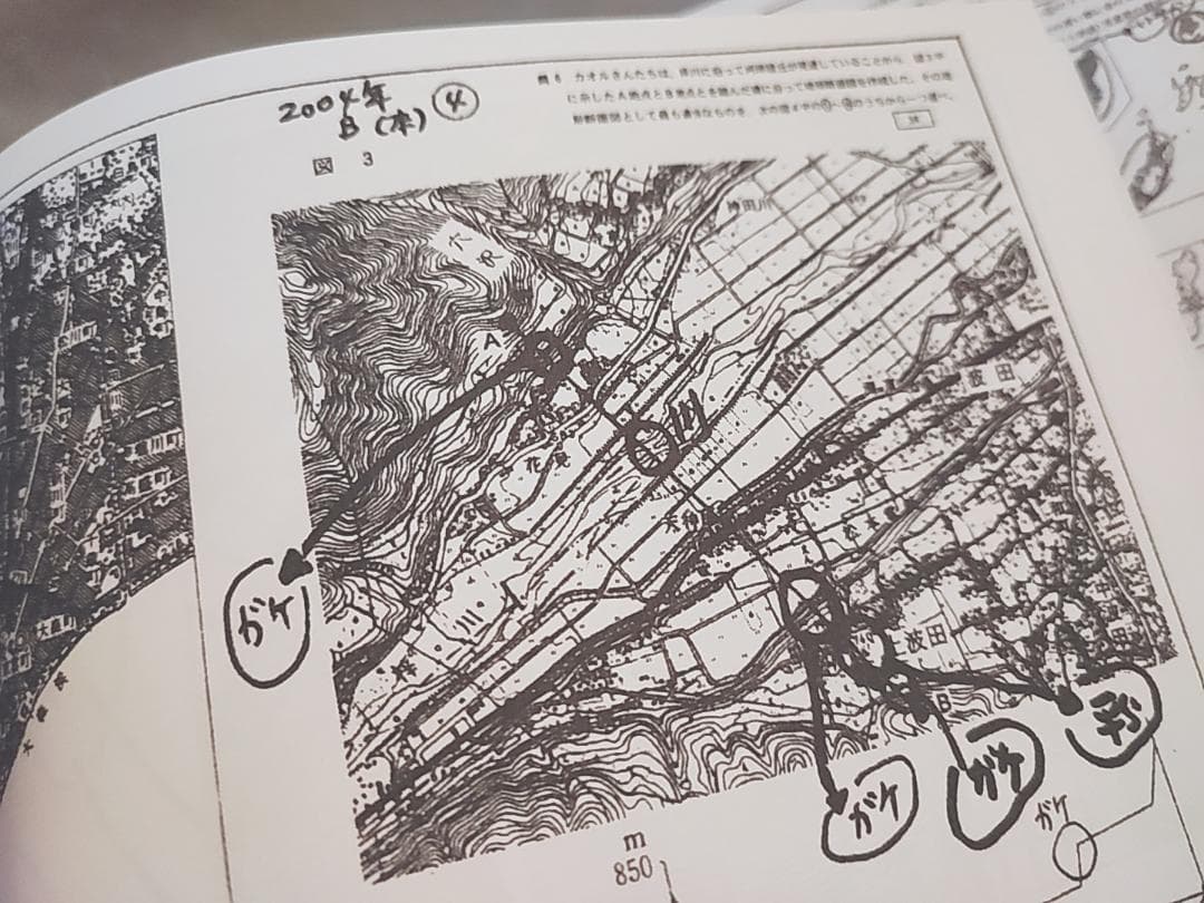 駿台　岡田先生　地理配布プリント　書き込み無し　河合塾　鉄緑会　SEG　東進