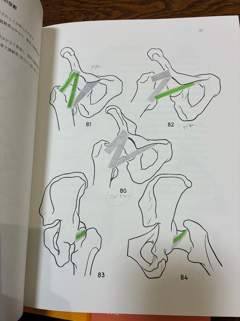 カパンディ 関節の生理学 セット(上肢下肢体幹脊柱) 第5・6版