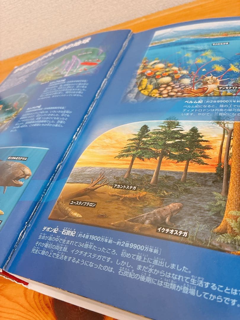 小学館の図鑑NEO 13冊セット　バラ売り❌