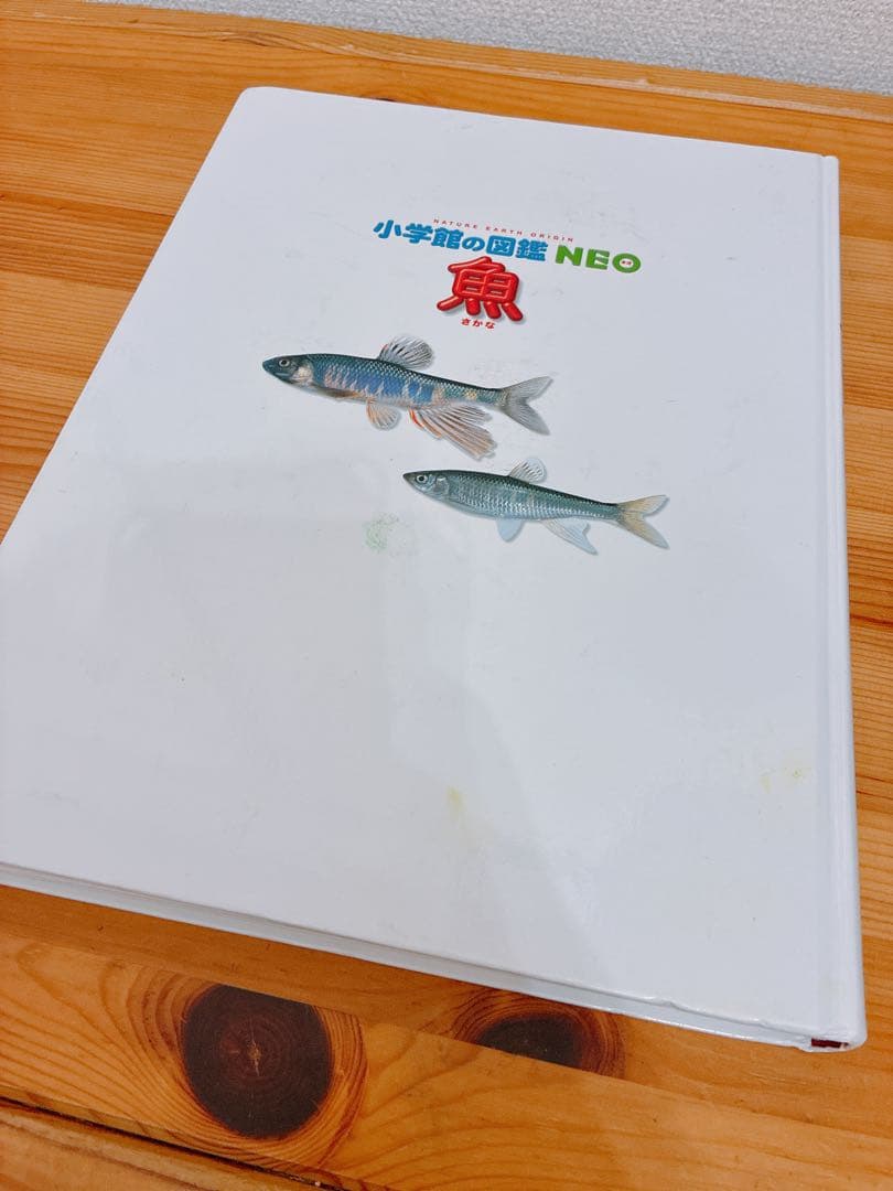 小学館の図鑑NEO 13冊セット　バラ売り❌