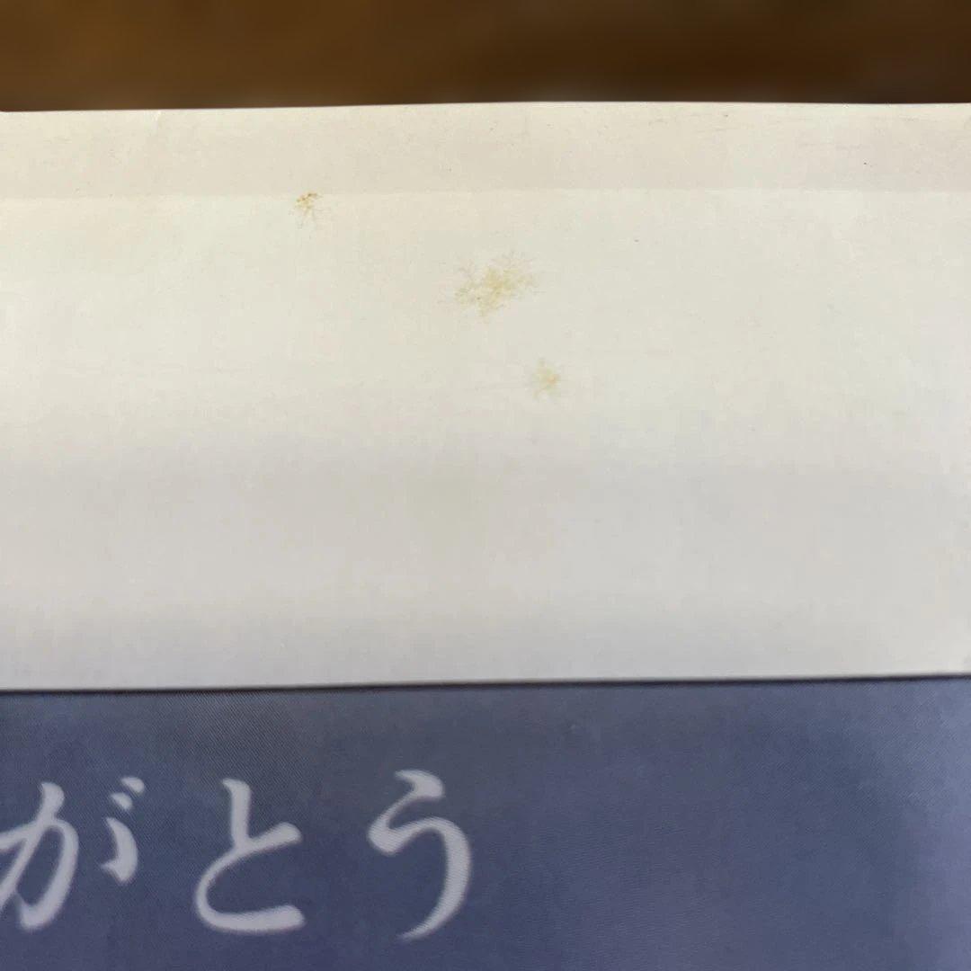 希少　天海祐希　資生堂　花椿　1985年　1月号 No.415 デビュー前