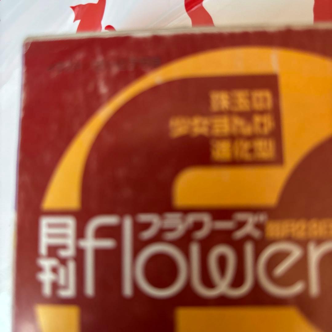 さいとうちほ　アナスタシア倶楽部 諏訪緑　巻頭カラー