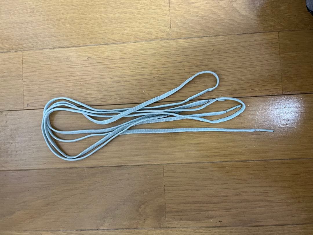 ファントムGX II ELITE AG-PRO FJ2554 300