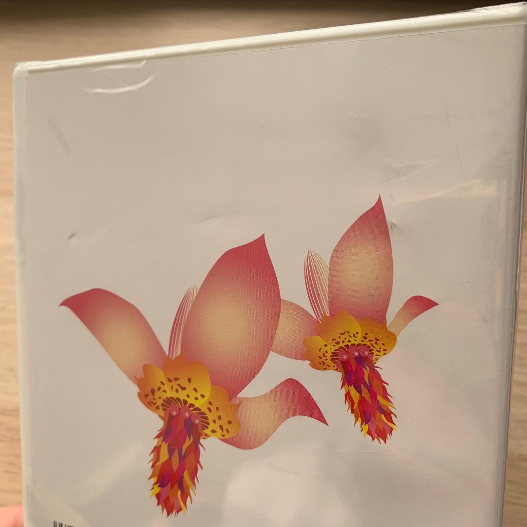 B.P.V.VOL.1 1995～1998 BONNIE PINK DVD★新品