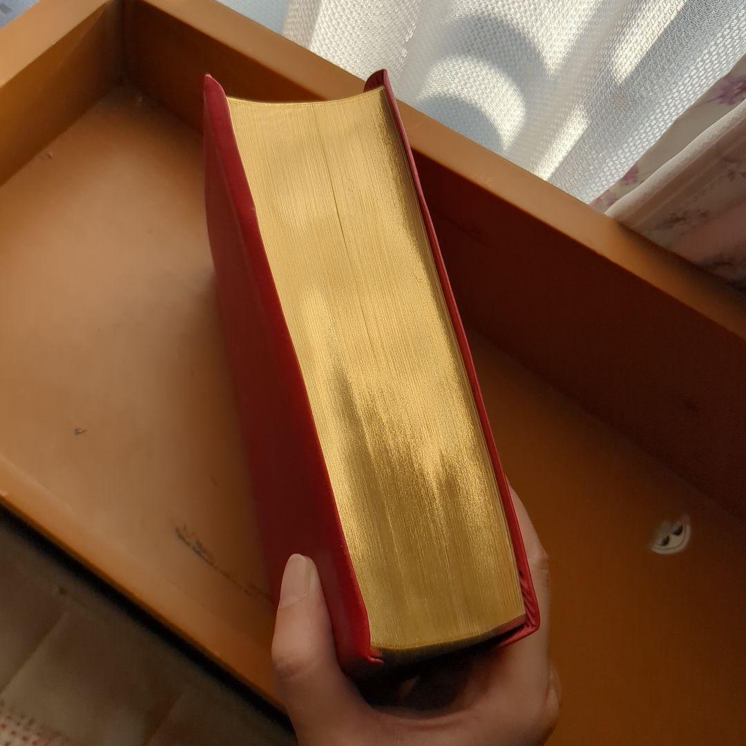 聖書 新共同訳 NI59S(赤)
