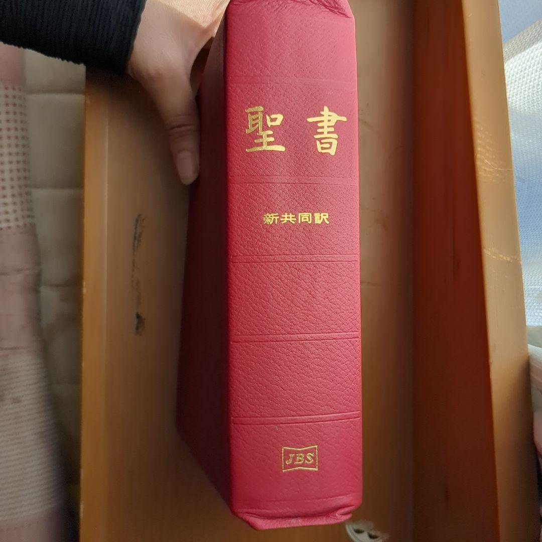 聖書 新共同訳 NI59S(赤)