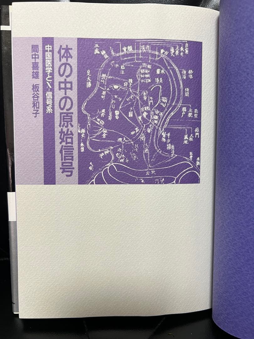 体の中の原始信号　生命体情報系の原理解明に挑む　地勇社　中国医学とXー信号系