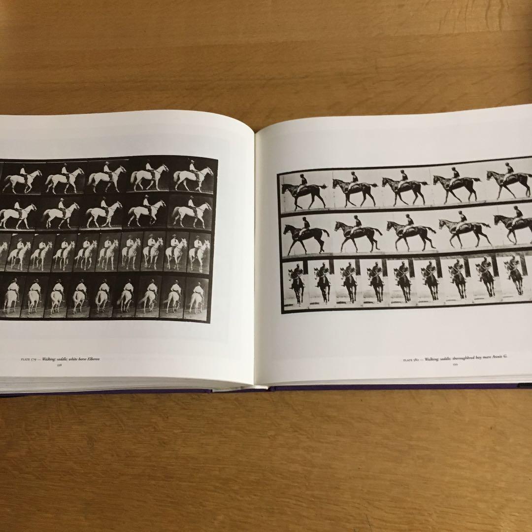 アート・デザイン・音楽 Eadweard Muybridge.