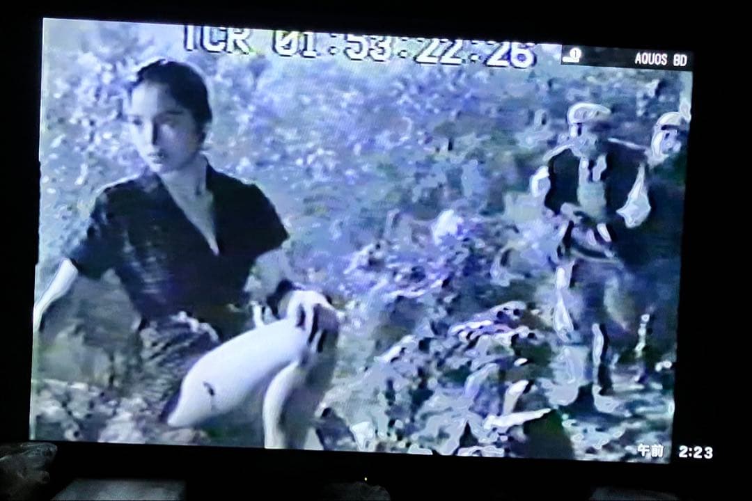 獣人雪男DVD-R【￼2枚組版￼ 】1955東宝映画★円谷英二★宝田明・河内桃子