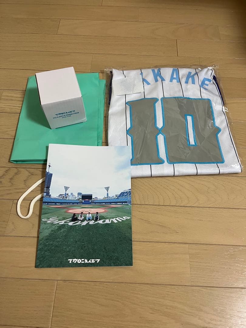 マカロニえんぴつ　横浜スタジアム　特典付きチケットグッズ