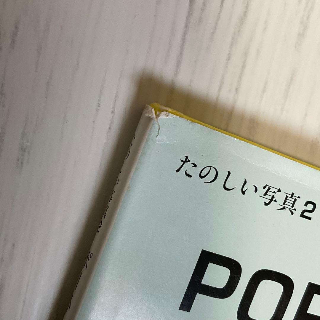 たのしい写真2 PORTRAIT ホンマタカシ 市川実日子 写真集 平凡社