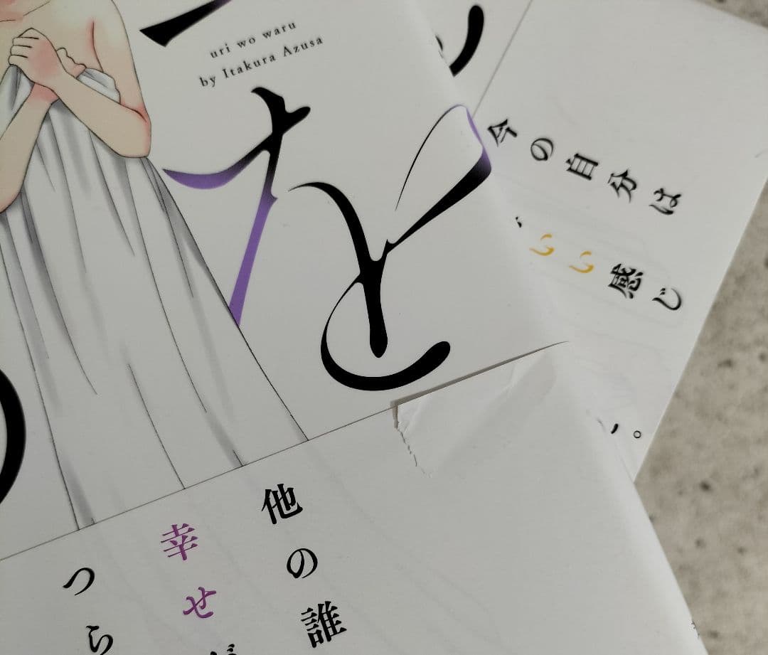瓜を破る １～12巻 漫画 全巻セット 芳文社コミックス 板倉梓 芳文社