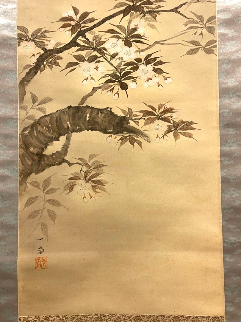 一斎 掛け軸 掛軸 直筆 夜桜 満月 朧月 日本画 絵画 春 桜 茶掛 肉筆