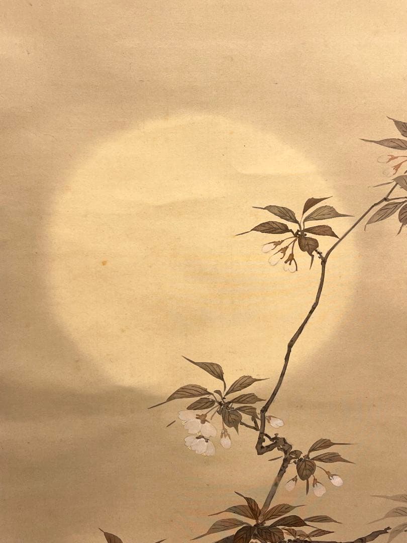 一斎 掛け軸 掛軸 直筆 夜桜 満月 朧月 日本画 絵画 春 桜 茶掛 肉筆