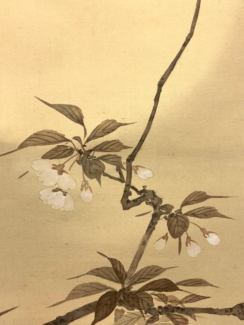 一斎 掛け軸 掛軸 直筆 夜桜 満月 朧月 日本画 絵画 春 桜 茶掛 肉筆