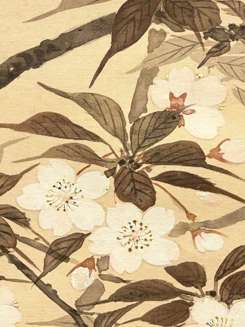 一斎 掛け軸 掛軸 直筆 夜桜 満月 朧月 日本画 絵画 春 桜 茶掛 肉筆