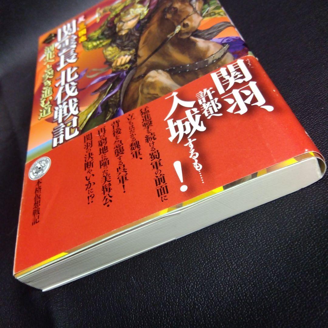 関雲長北伐戦記 : 反三国志 2 (河北へと突き進む道)