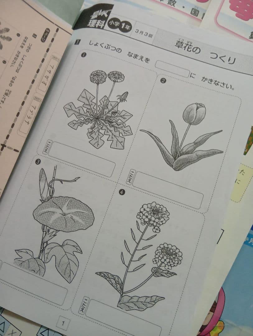 しょうがく社　1年生　小学特進クラス　最レベ国語/算数年間セット