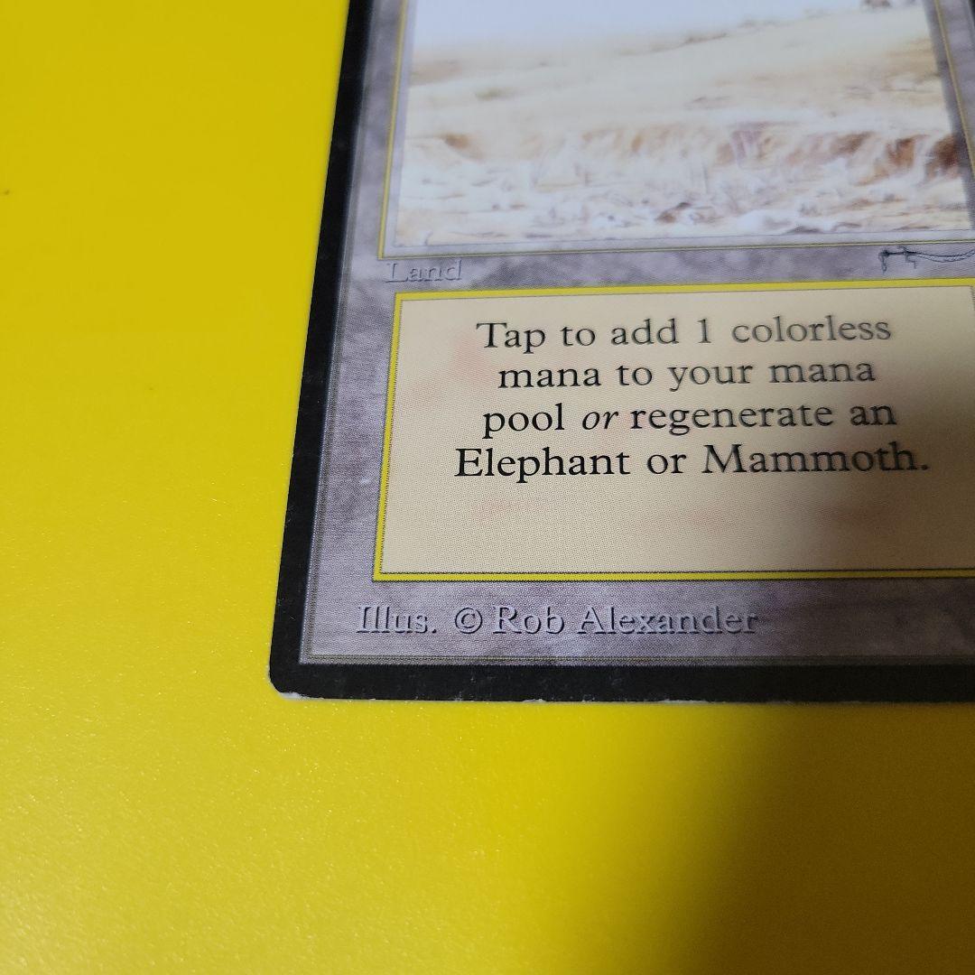 マジック：ザ・ギャザリング MTG Elephant Graveyard