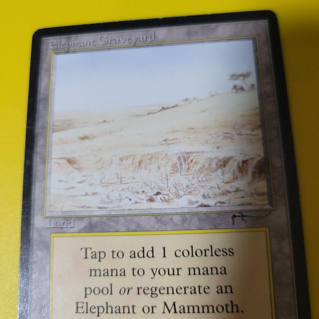 マジック：ザ・ギャザリング MTG Elephant Graveyard