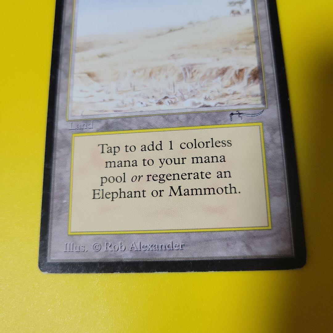 マジック：ザ・ギャザリング MTG Elephant Graveyard