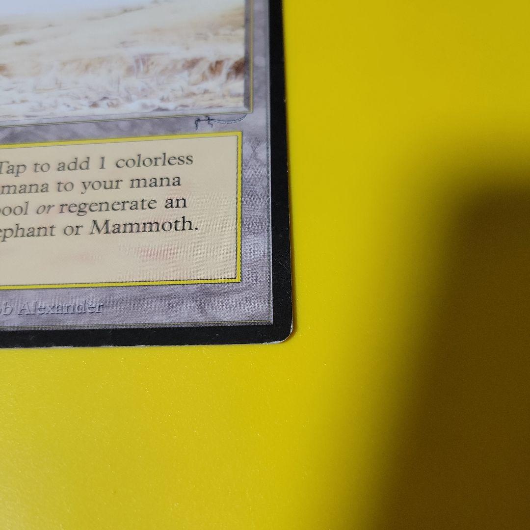 マジック：ザ・ギャザリング MTG Elephant Graveyard