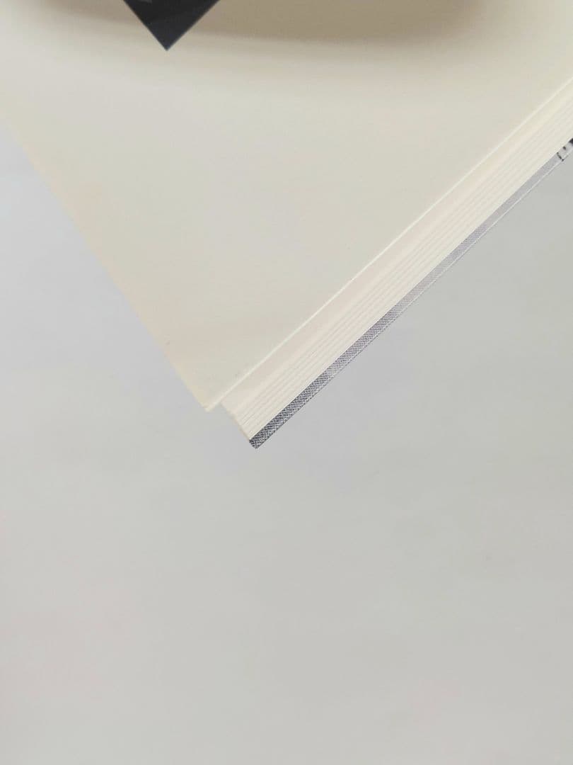 アート・デザイン・音楽 a-ha THE OFFICIAL PHOTO BOOK