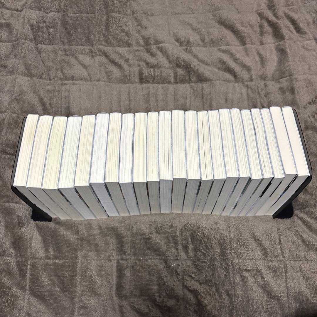 穏やか貴族の休暇のすすめ。 全巻 1-20巻 + 短編集 2冊 岬 小説 ラノベ