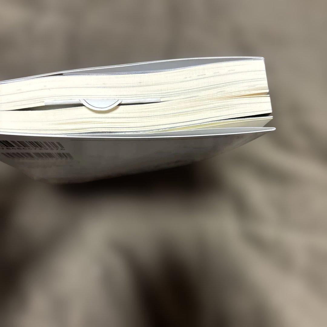 穏やか貴族の休暇のすすめ。 全巻 1-20巻 + 短編集 2冊 岬 小説 ラノベ