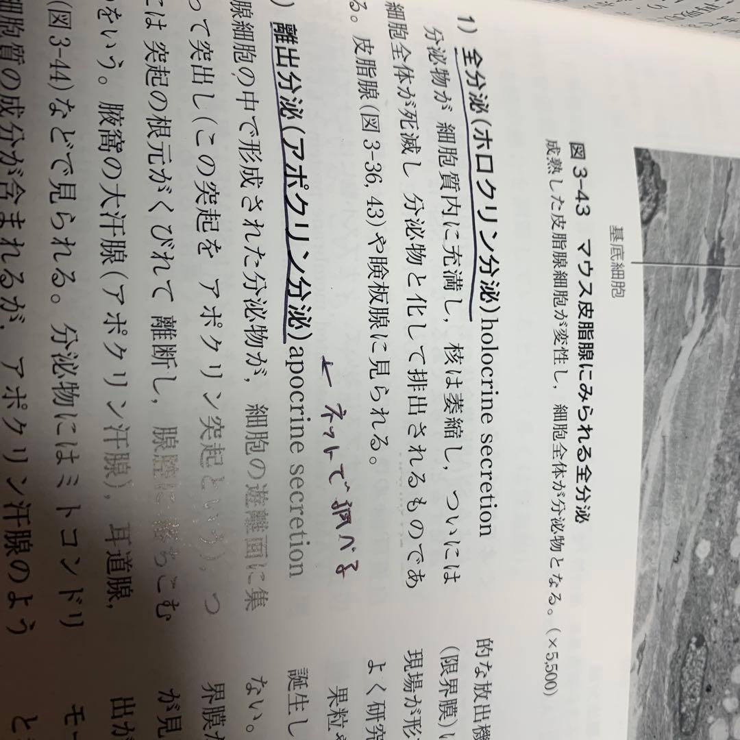 標準組織学 総論　標準組織学　各論