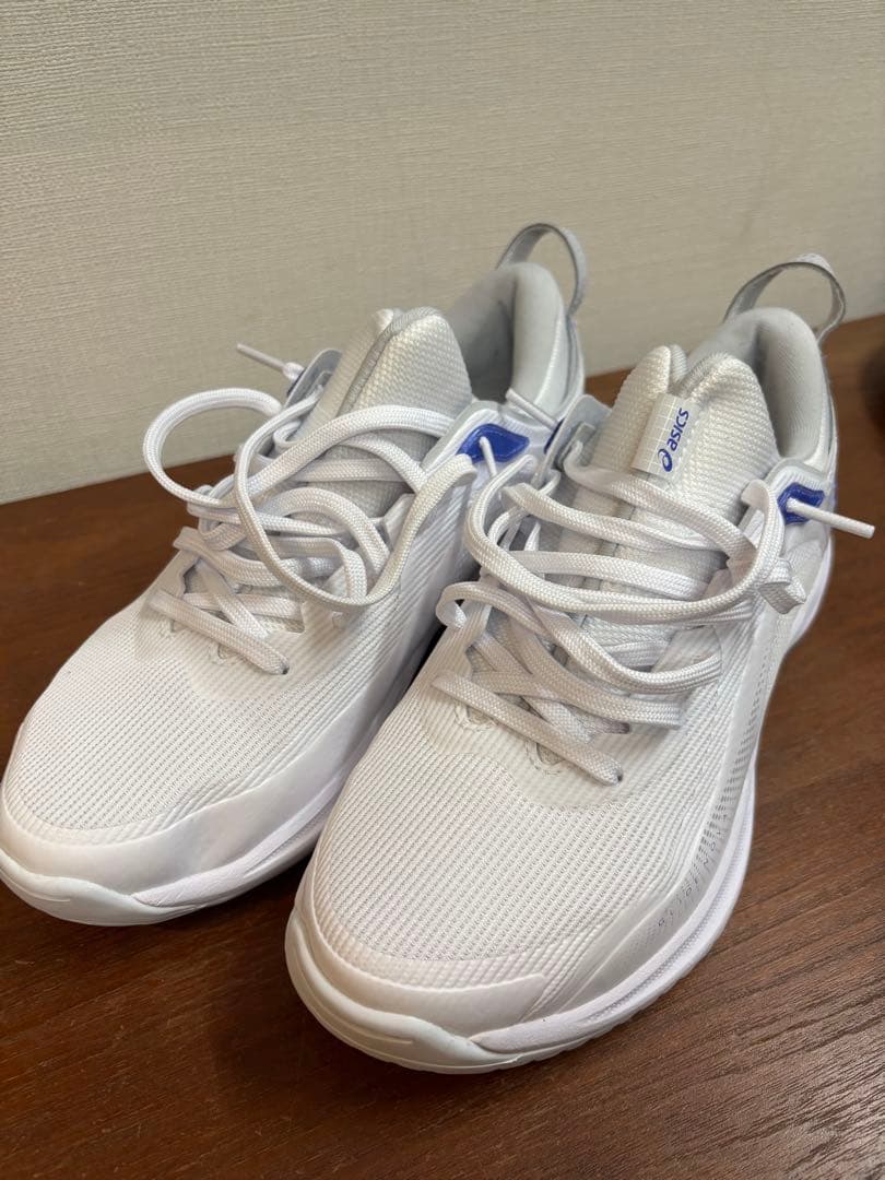 アシックス ホワイト メッシュ シューズ