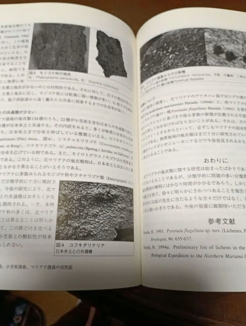 北マリアナ探検航海記