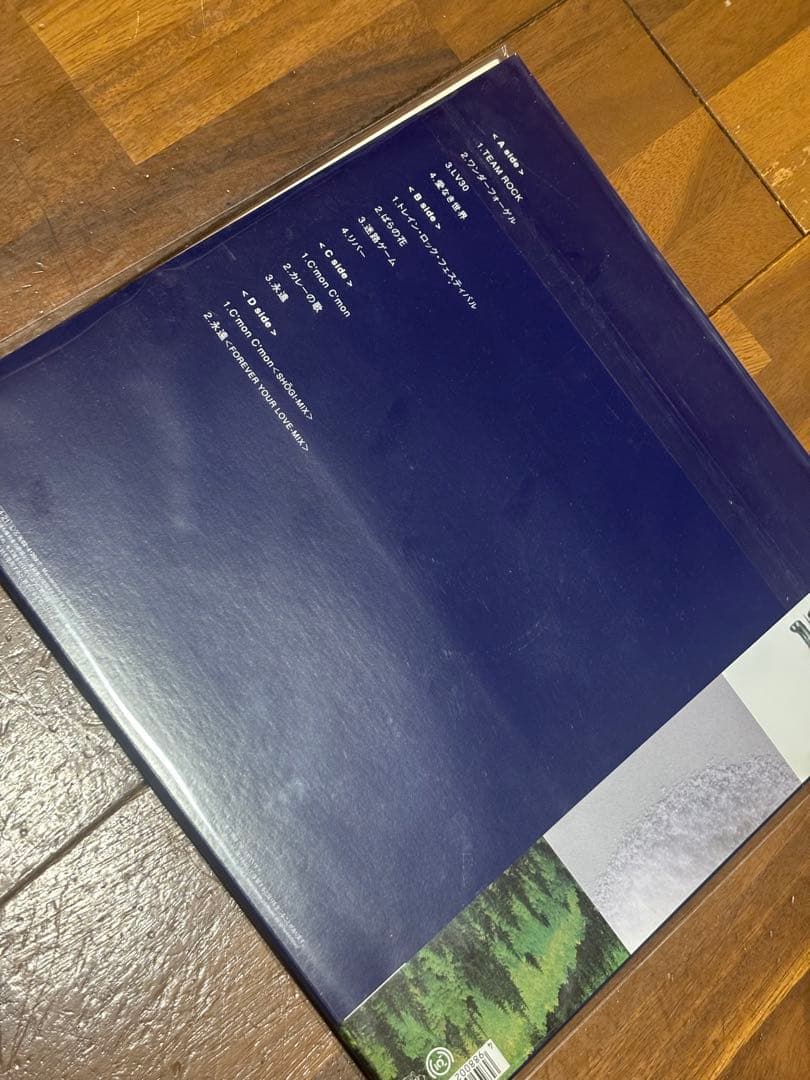 t*i様 くるり　TEAM ROCK レコード　レアな2LP!