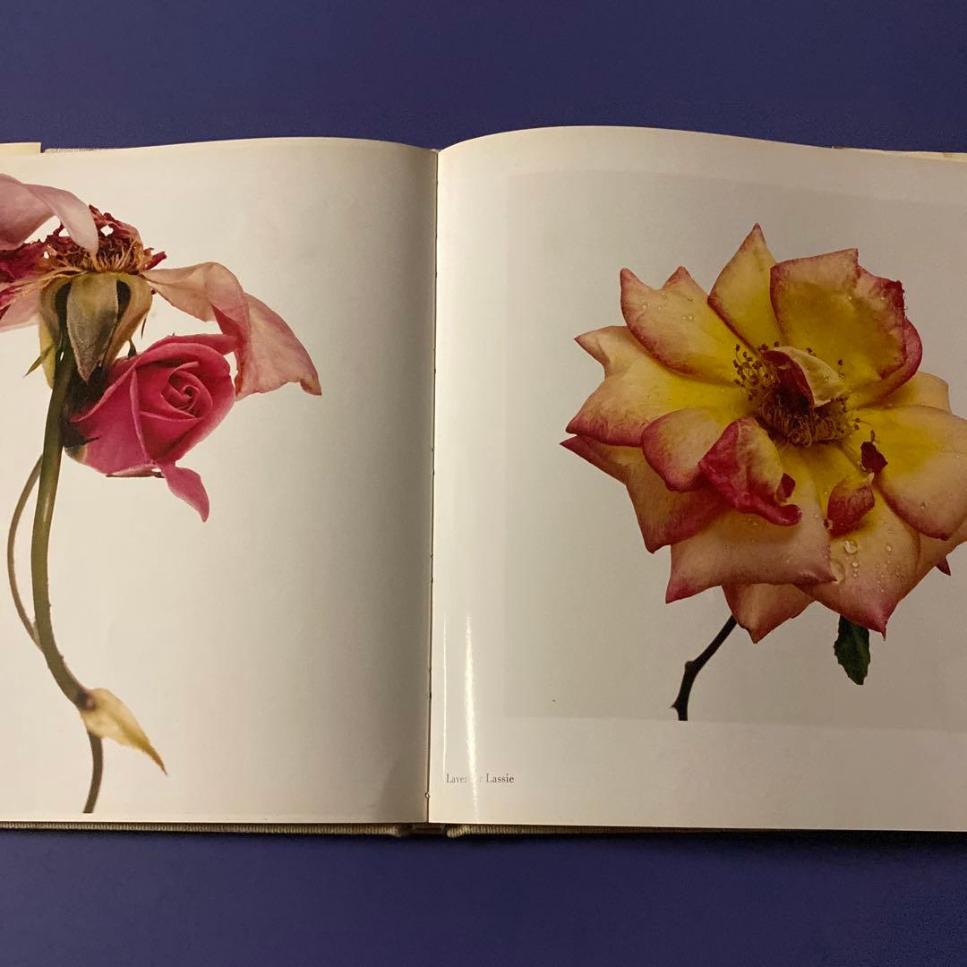 Noope商品　アーヴィング・ペン　FLOWERS