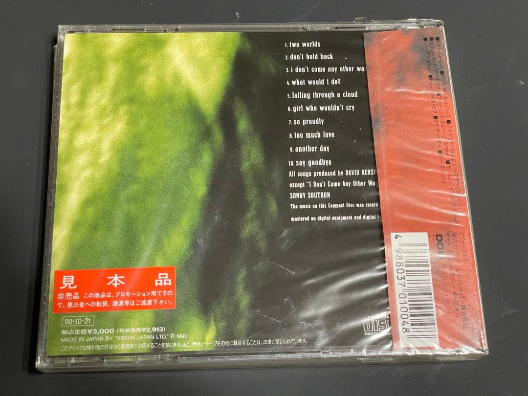 洋楽 Sonny Southon Falling Through A Cloud