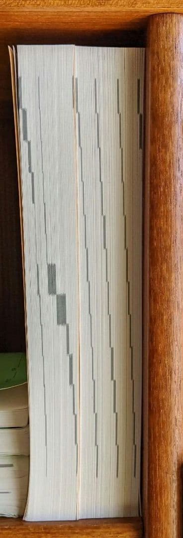 【新品】鉄緑会　高3化学　問題集2冊セット　化学要点集　化学実力演習