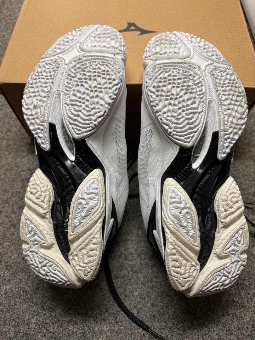 Mizuno Wave Lightning Z8 ミズノ　バレーシューズ