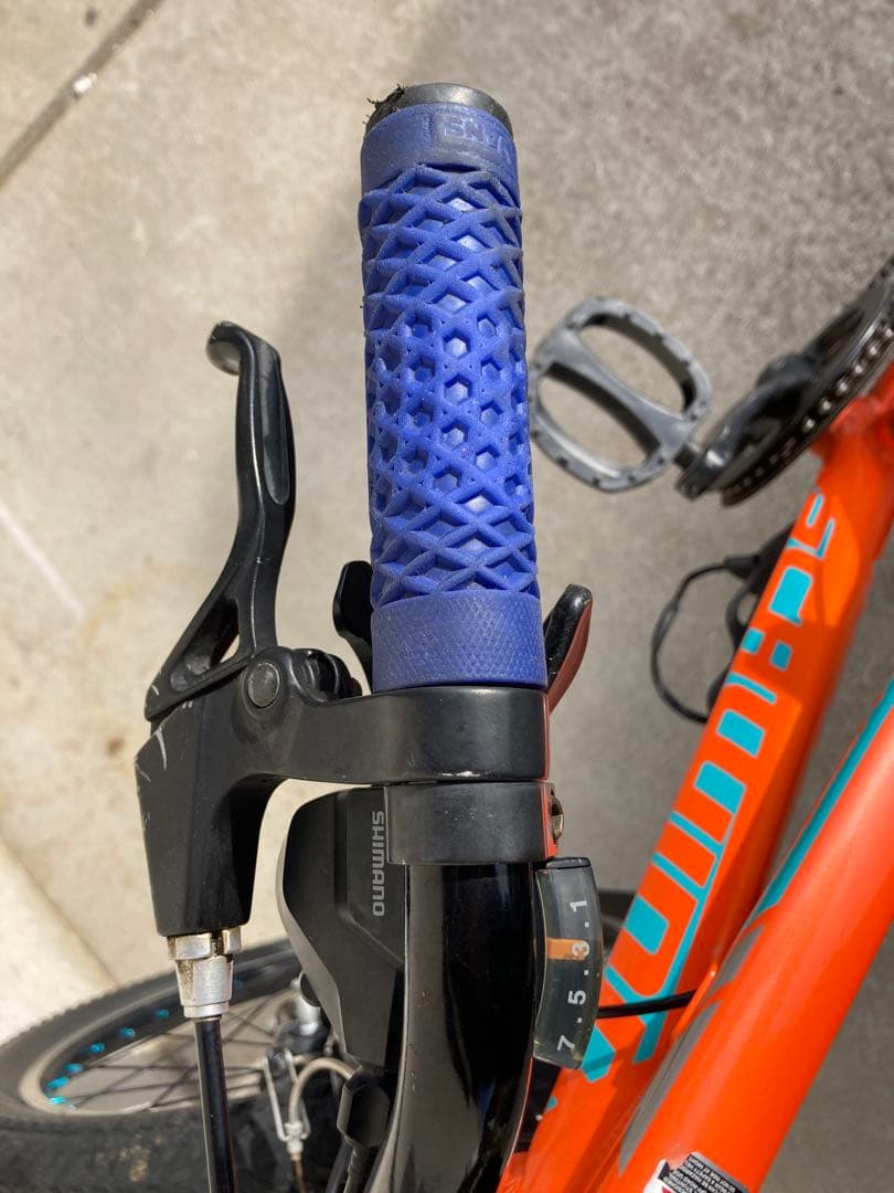きっしー様用。SCHWINN MTB 「MESA20」20インチ　引き取り限定