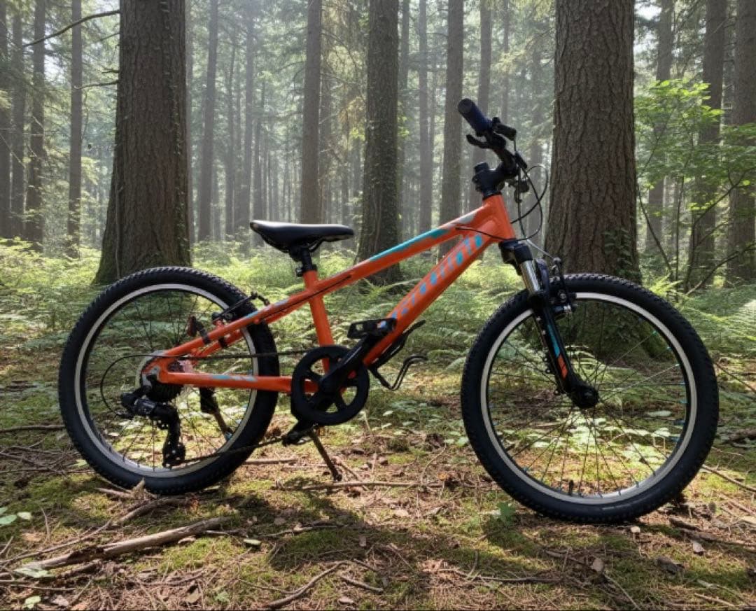 きっしー様用。SCHWINN MTB 「MESA20」20インチ　引き取り限定