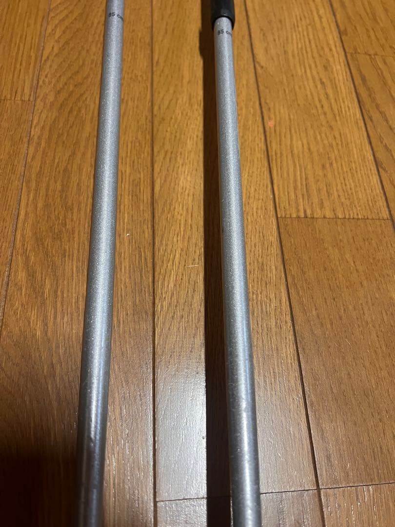 LEKI レキ 伸縮式 スキーストック