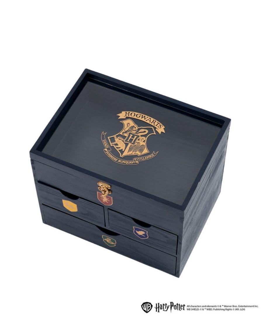 サリュ！　ハリーポッター マルチキャビネット　 Harry Potter
