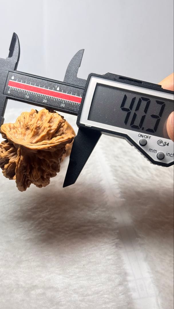 46帝王半壁三棱