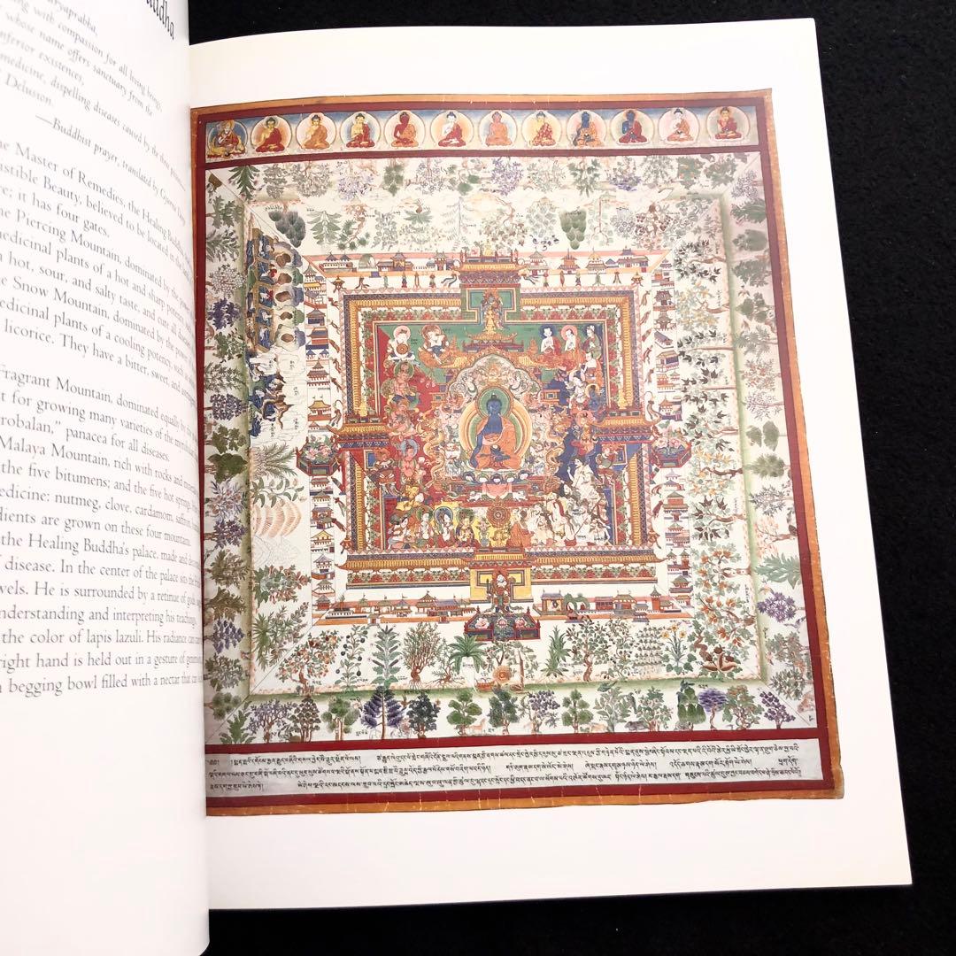 チベット医学 曼荼羅画集 The Buddha's Art of Healing